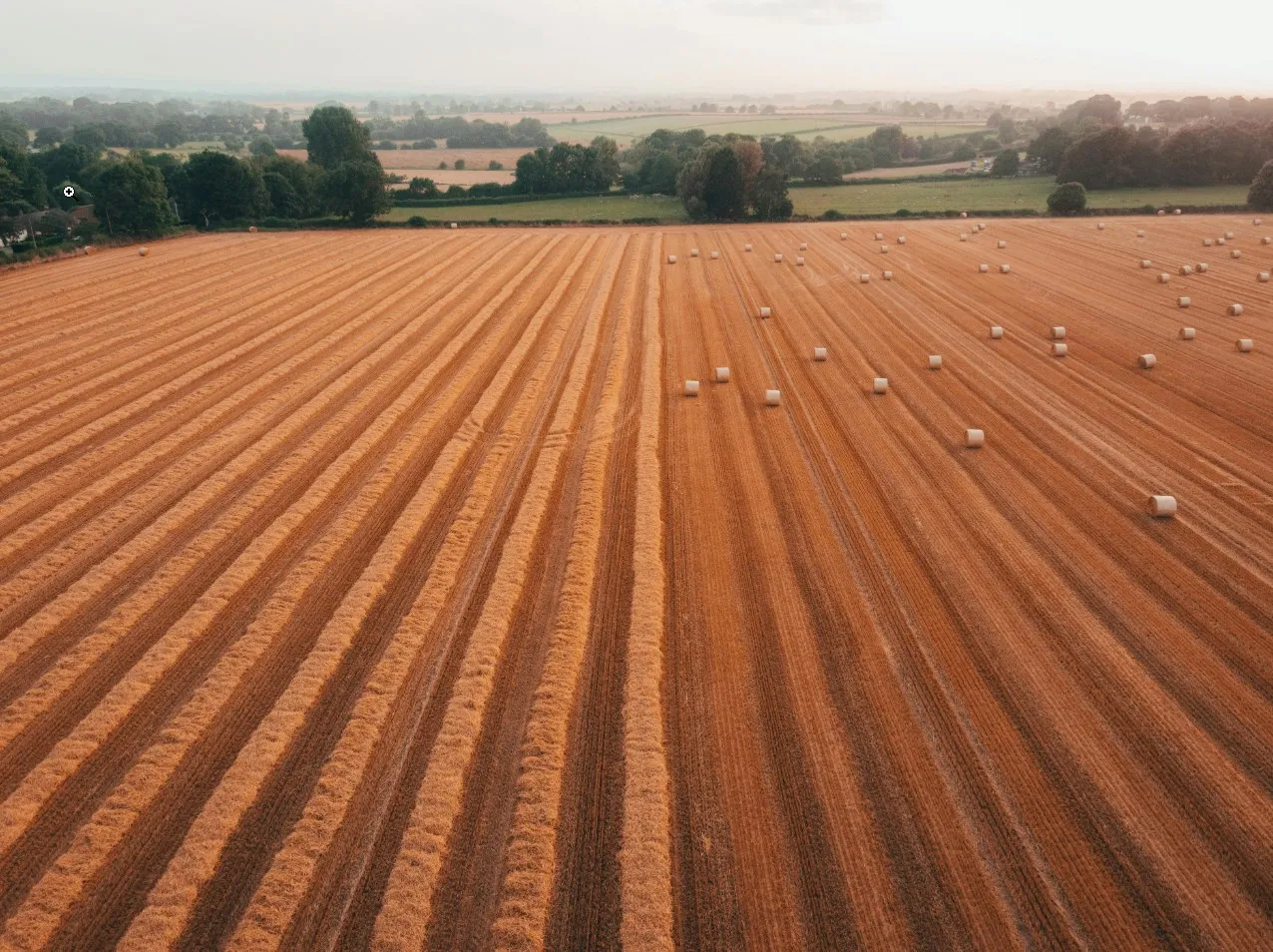 Yorkshire farmland near Northallerton