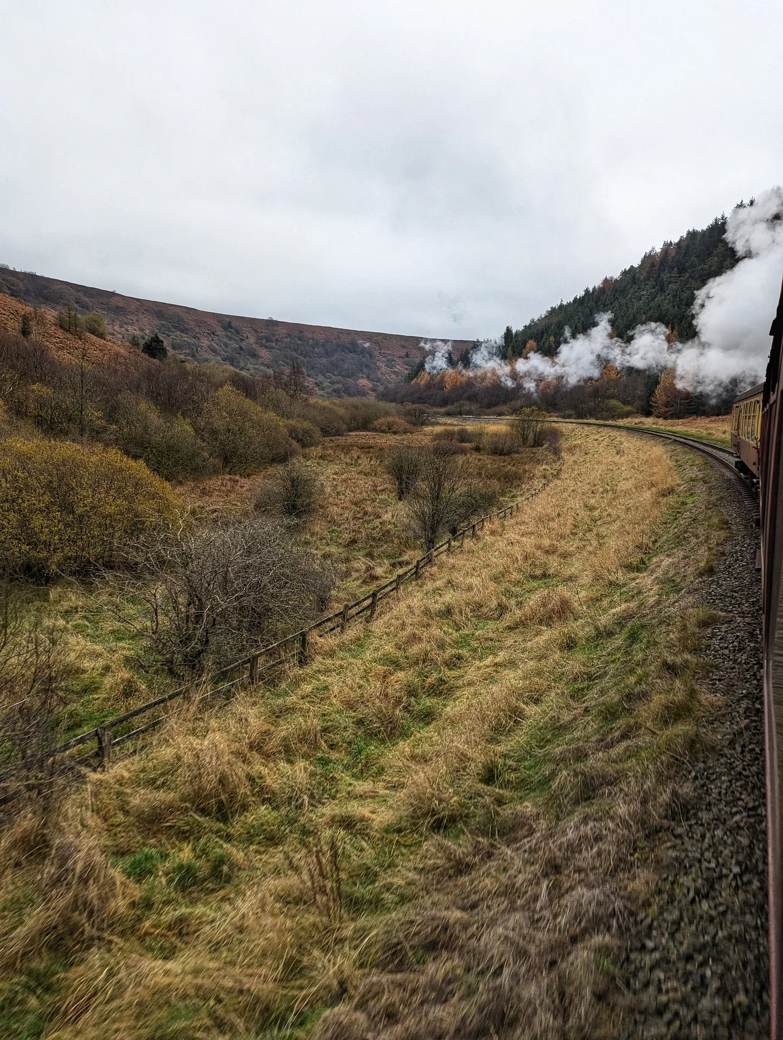 Steam train travelling through the North York Moors near Pickering