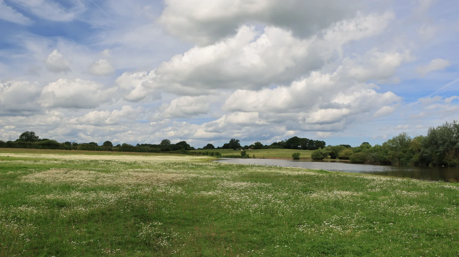 Flat riverside meadow in the Yorkshire countryside